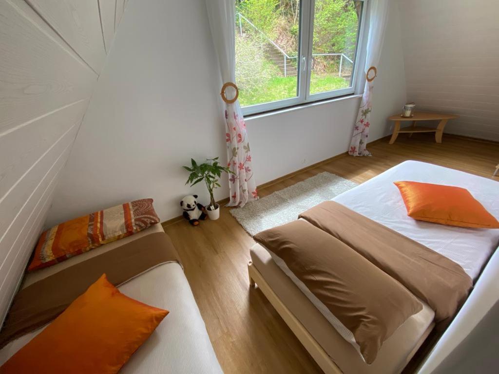 Haus Adler - Komplettes Ferienhaus Am Badesee Erzgrube Екстер'єр фото